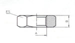 Nut for bulkhead