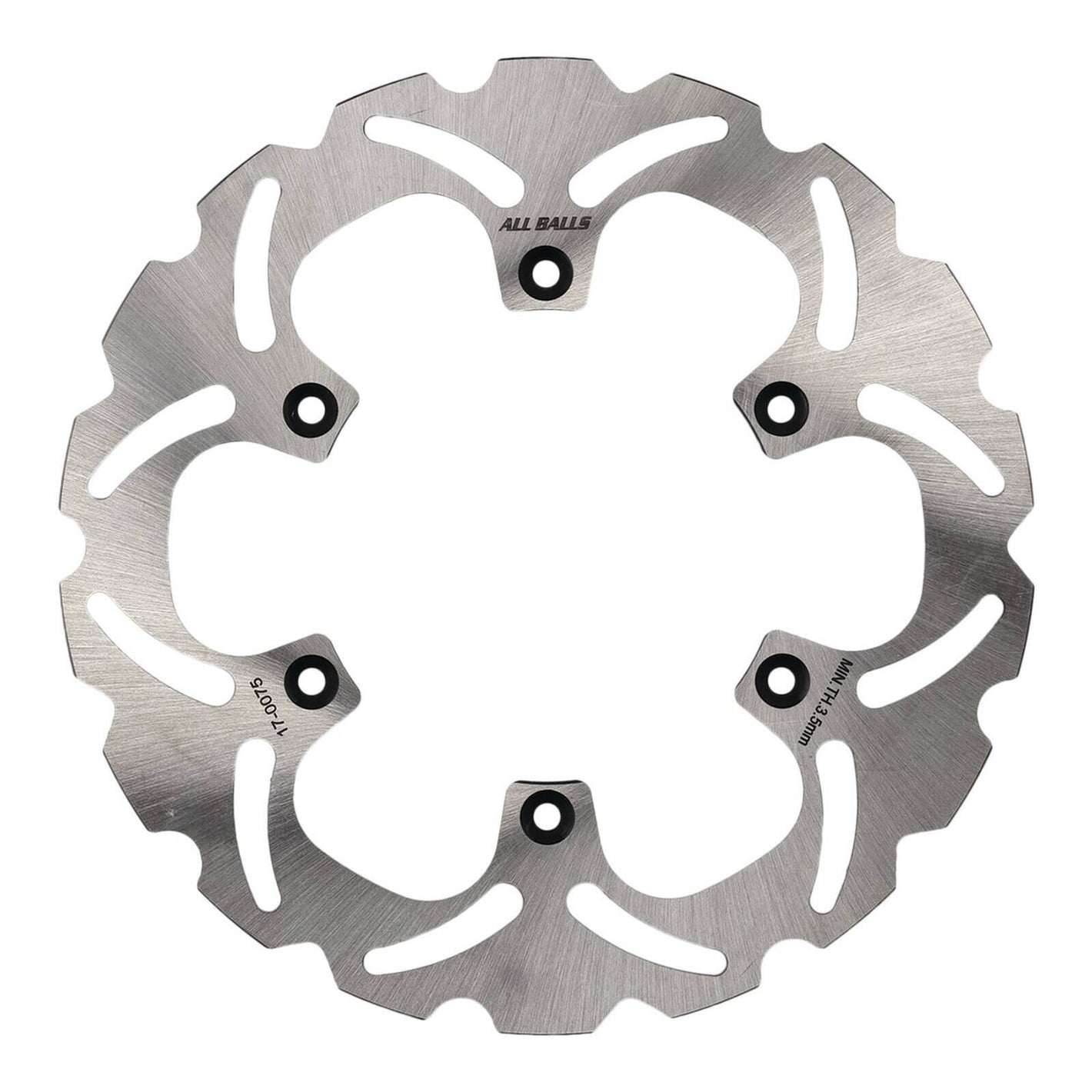 Brake Disc Rear 18-0075