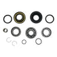 All Balls Differential Bearing & Seal Kit Rear 25-2137
