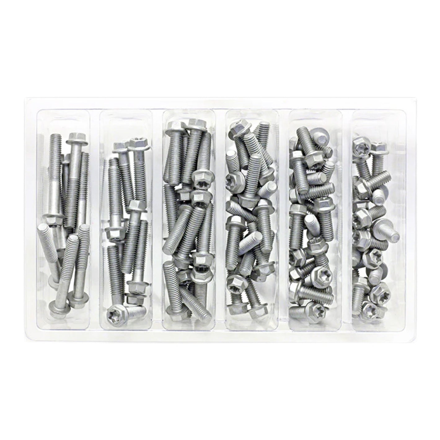 Bolt Workshop Service Kit: M6 Euro Torx Bolt