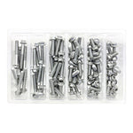 Bolt Workshop Service Kit: M6 Euro Torx Bolt