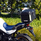 Honda XL 750 Transalp (23 - >)