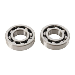 Main Bearing and Seal Kit