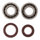 Main Bearing and Seal Kit