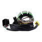 Stator Suzuki RM250 '01-'08 (RMS010-107702)