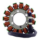 STATOR + MOSFET KIT ASSTD APR MODELS SEE FIT (RMS900-107315)