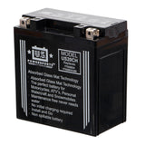USPS AGM Battery - US20CH