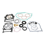 Complete Gasket Set with Oil Seals 8110048