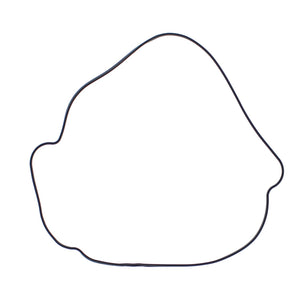 Outer Clutch Gasket Kit 817987