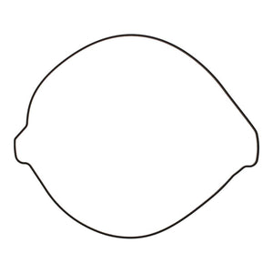 Outer Clutch Gasket Kit 819267