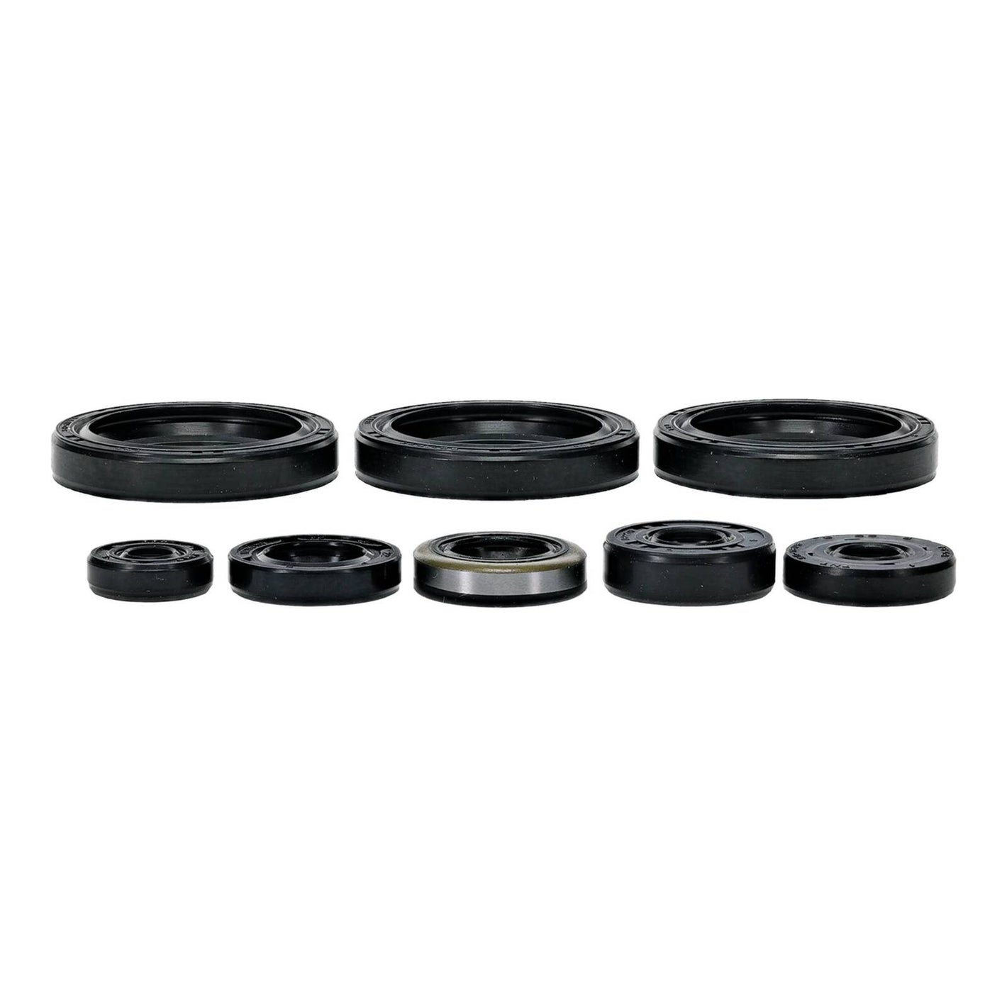 Oil Seal Kit 822403