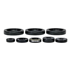 Oil Seal Kit 822403