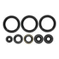 Oil Seal Kit 822403