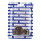 Oil Seal Kit 822485