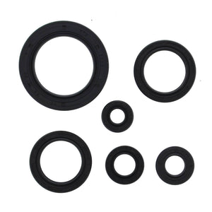 Oil Seal Kit 822978