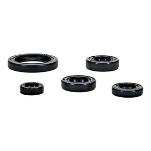 OIL SEAL KIT 822994