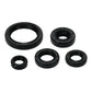 OIL SEAL KIT 822994
