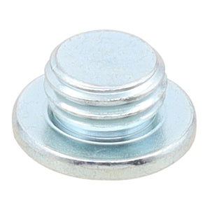 Whites Magnetic Drain Plug M10 x 5 - P1.25