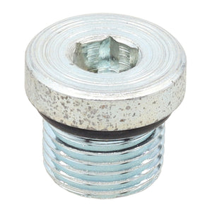 Whites Magnetic Drain Plug M16 x 12.6 - P1.5