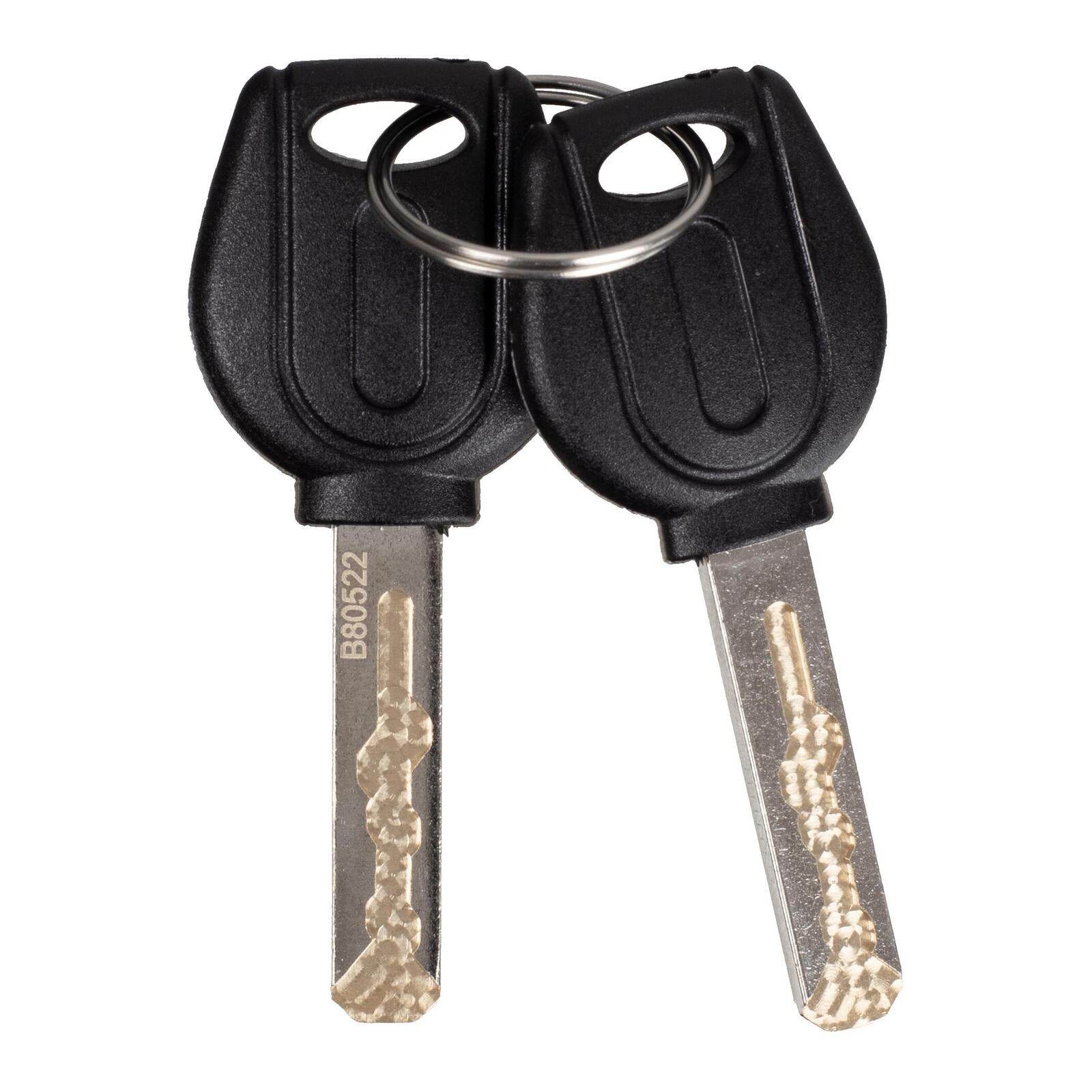 WMP Disc Lock Alarm Type 10mm Pin With Reminder