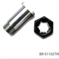 BRs S110279850