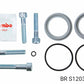 BRs S120358210