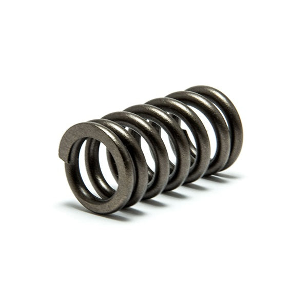 Psychic Exhaust Valve Spring - Yamaha YZ250F